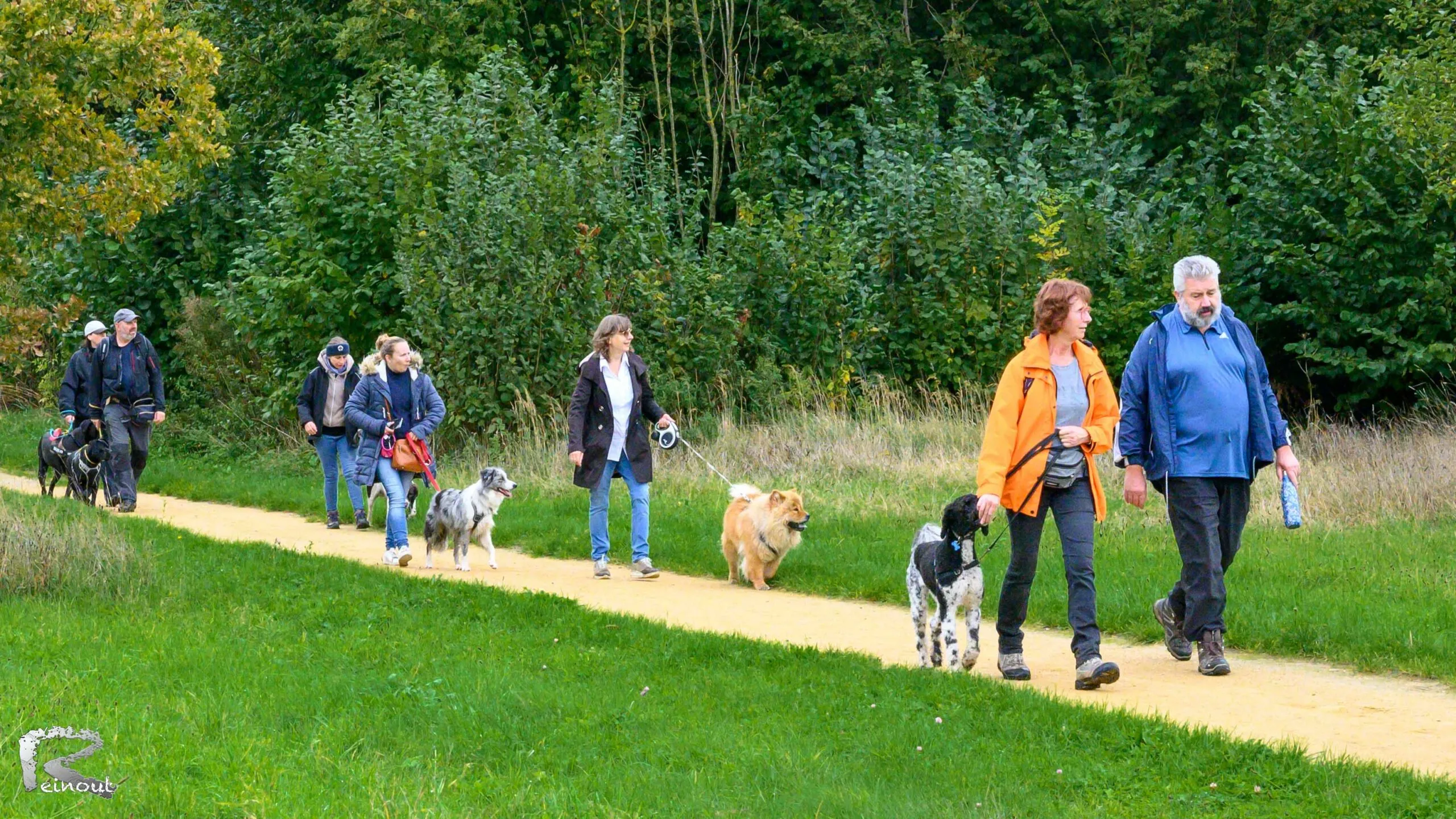 Baasjes en honden wandelen over een graspad tijdens de herfstwandeling