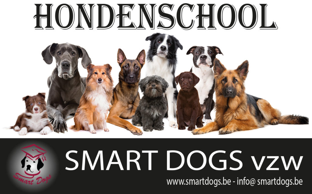 Smart Dogs